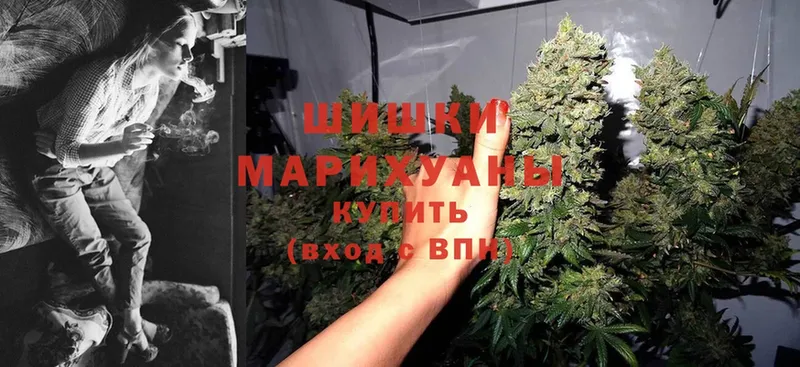 Каннабис SATIVA & INDICA  Никольск 